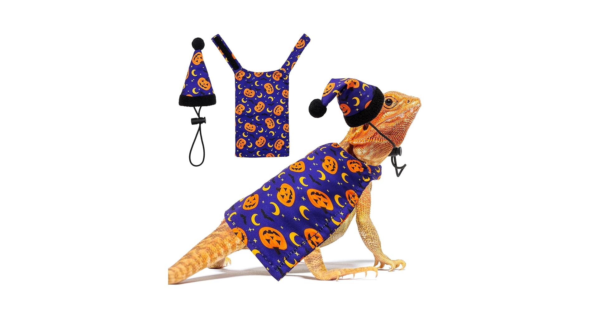 Unique Gifts for Animal Lovers: Bearded Dragon Bundles - Product 1